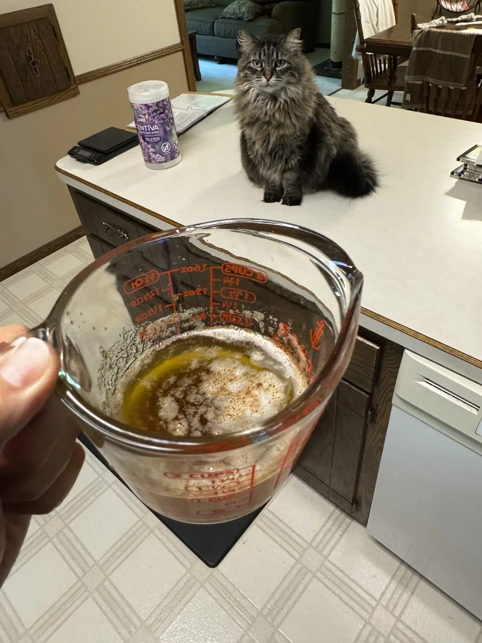 a hand holding dark brown melted butter in a glass measuring cup, with a tabby cat watching from a nearby counter