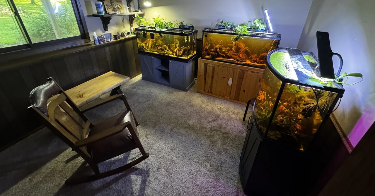 photo of fish room and reading chair